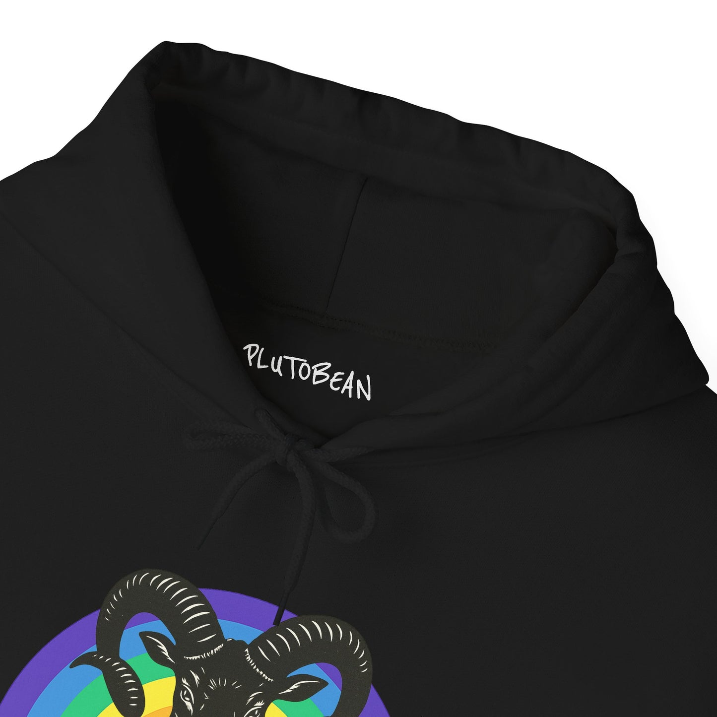 Black hoodie with 'PlutoBean' logo and rainbow design on a white background
